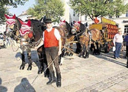 Pferdegespann mit Karren auf dem Fässer geladen sind. Kutscher hält das führende Pferd am Zaum. Fasslwagen im Frankfurter Haus